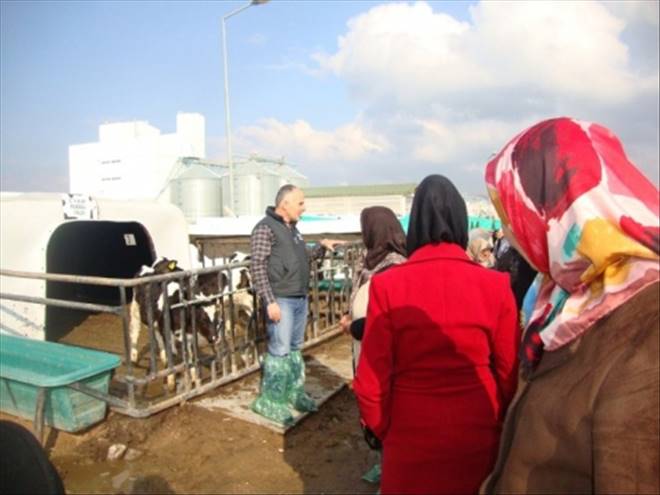 Aksaray`da Kadın Çiftçi Eğitim Programı Devam Ediyor