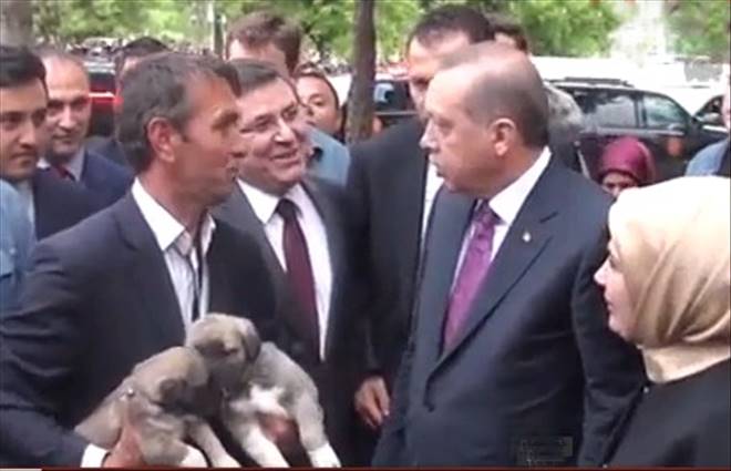 Cumhurbaşkanı Erdoğana  Aksarayda malaklı hediye edildi