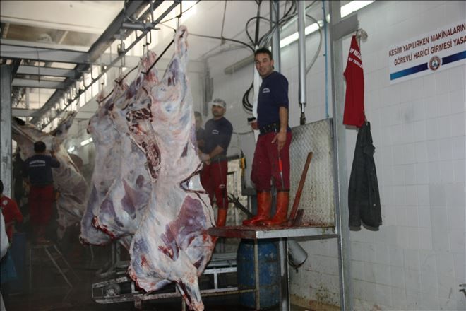 Aksaray´da üreticiler et balık kurumunu tercih etmiyor