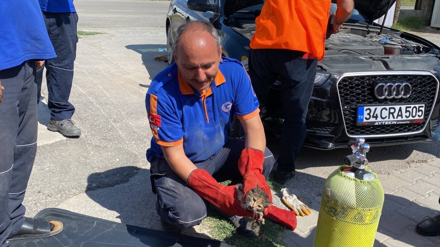 Otomobilin motor kısmına sıkışan yavru kediyi AFAD ekipleri kurtardı