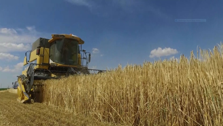 Aksaray’da tarımsal üretim değerleri her geçen yıl hızla artarak devam ediyor