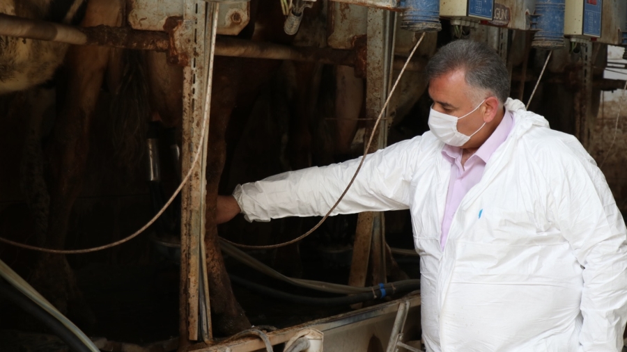 Korona virüs süt üreticisinin hızını kesemedi