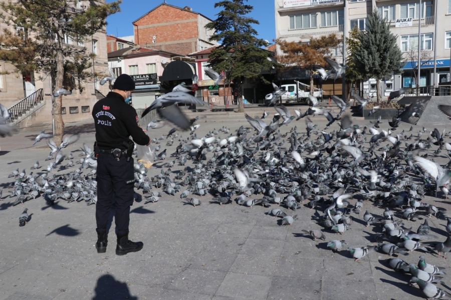 Aksaray Polisi Güvercin Kuşlarına Yem Verdi 