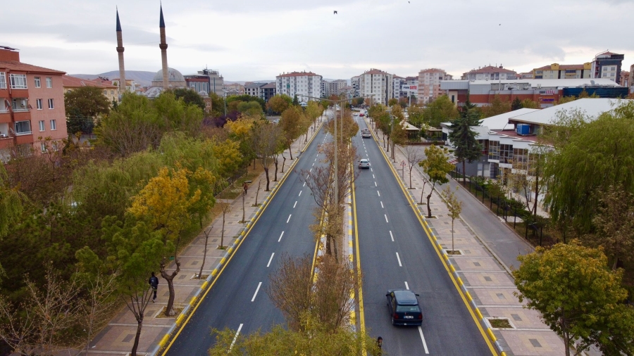 Şehit Mehmet Ali Demir Caddesinin Asfaltı Yenilendi