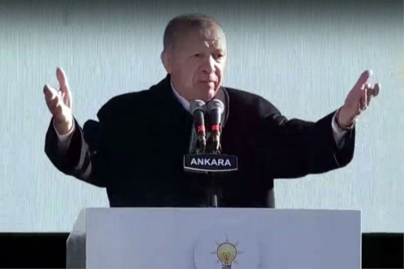Erdoğan, Gençlik Festivali
