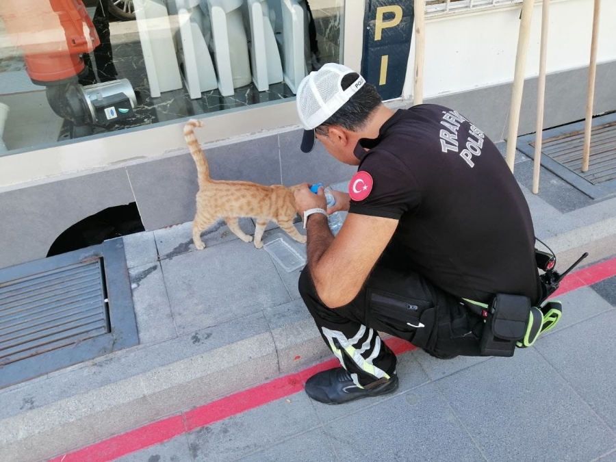Susayan kedinin su ihtiyacını polis karşıladı