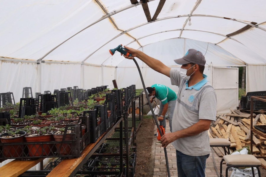 Aksaray Belediyesi Seralarında Yetiştirdiği 65 Bin Çiçek Fidesi İle Park Ve Bahçeleri Donattı
