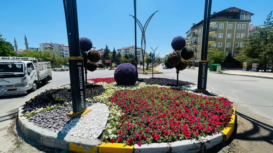 Belediyeye Ait Seralarda Yetişen Çiçekler Aksaray’ı Süslüyor