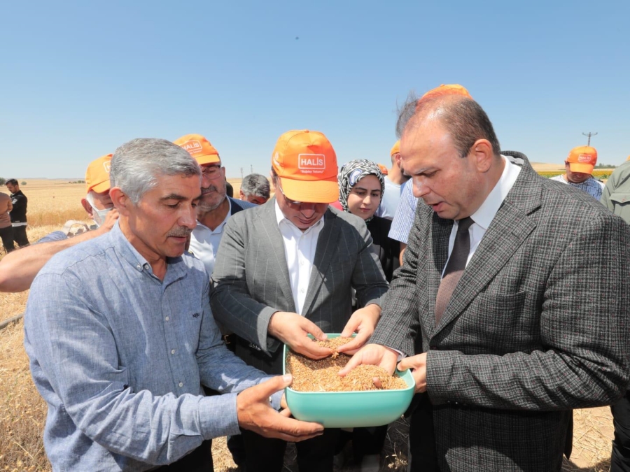 Yerli ve milli buğdayın Aksaray’da ekiminin yaygınlaştırılması hedefleniyor