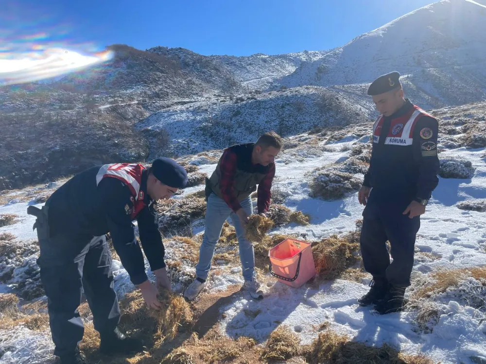 Aksaray’da Yaban Hayvanlarına Yem Desteği