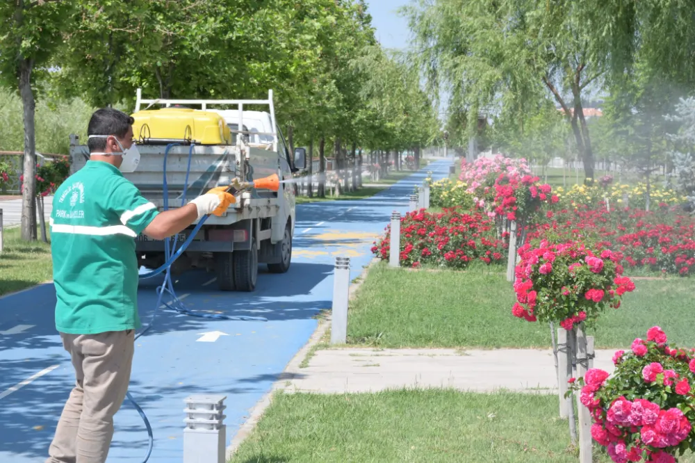 Aksaray’da Yeşil Alanlarda İlaçlama Çalışmaları Sürüyor