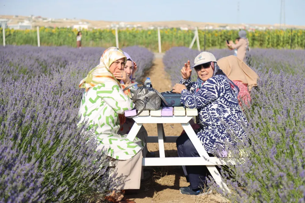 Aksaray’da Lavanta Bahçesi Ziyaretçilerini Büyülüyor