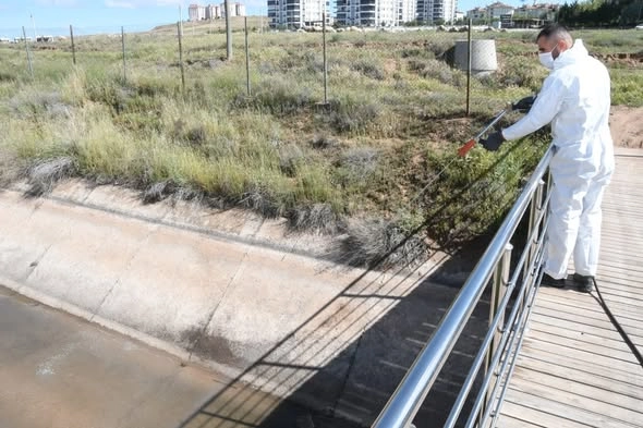 AKSARAY BELEDİYESİ’NDEN BİYOLOJİK MÜCADELEYLE HAŞERELERE ERKEN MÜDAHALE