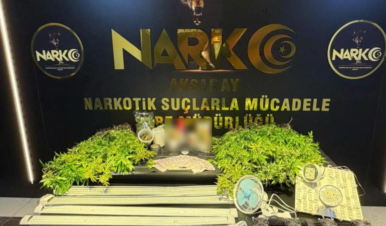 AKSARAY’DA NARKOTİK OPERASYONU! 229 KÖK HİNT KENEVİRİ ELE GEÇİRİLDİ, 1 TUTUKLAMA