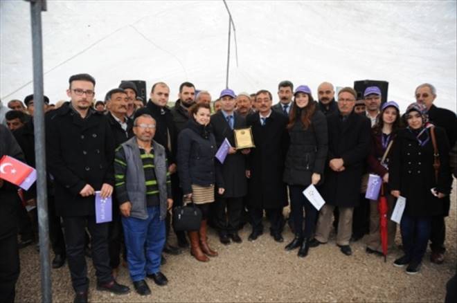 Enerya Aksaray'a Orman Kuruyor