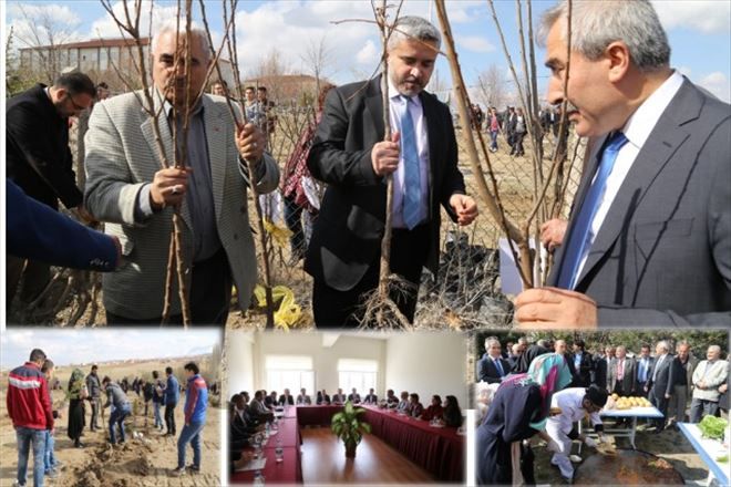 Ortaköy´de 2 Bin Fidan Toprakla Buluşturuldu