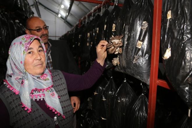 Köyün kaderi SODES´le değişiyor