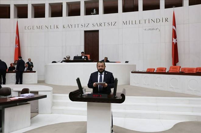 Milletvekili Serdengeçti