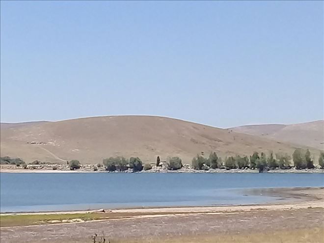 Ormanlarda bakım çalışması sürüyor