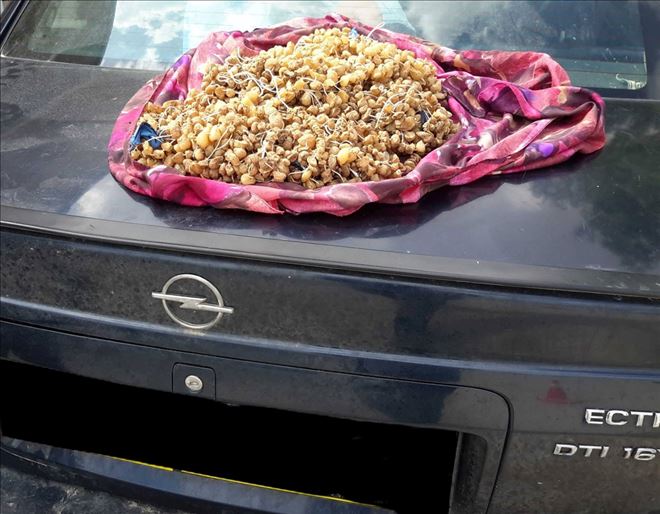 Durdurulan aracın stepnesinden salep soğanı çıktı