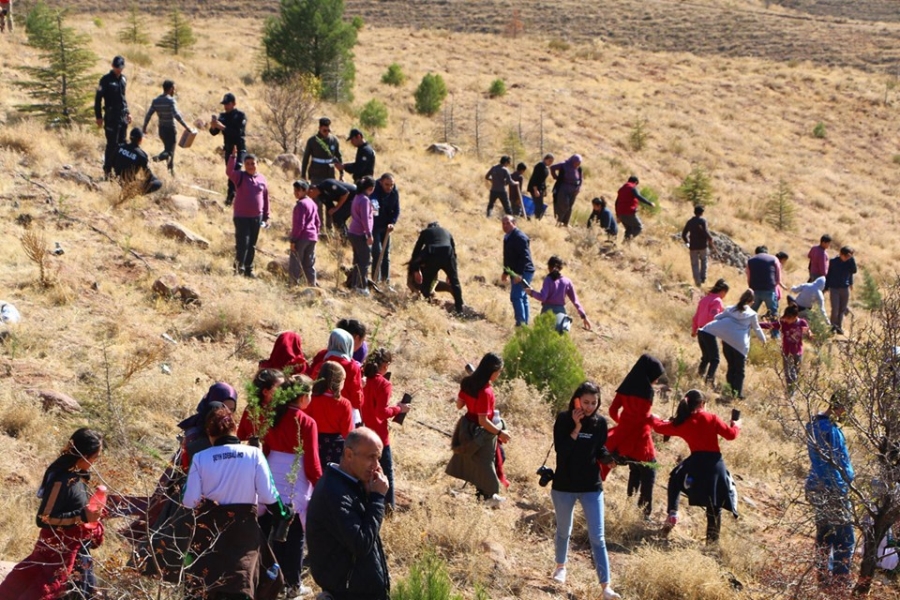 Aksaray'ın İl Oluşunun 30.yılı Münasebetiyle 30 bin fidan toprakla buluşturuldu