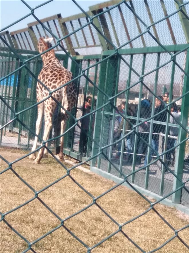Aksaraylı Özel Çocuklar İle Özel Gezi