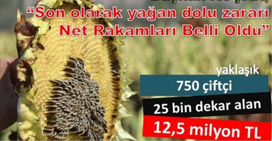 Aksaray'da Son Sel ve Dolu Yağışı 12,5 Milyon Tl Zarar Verdi