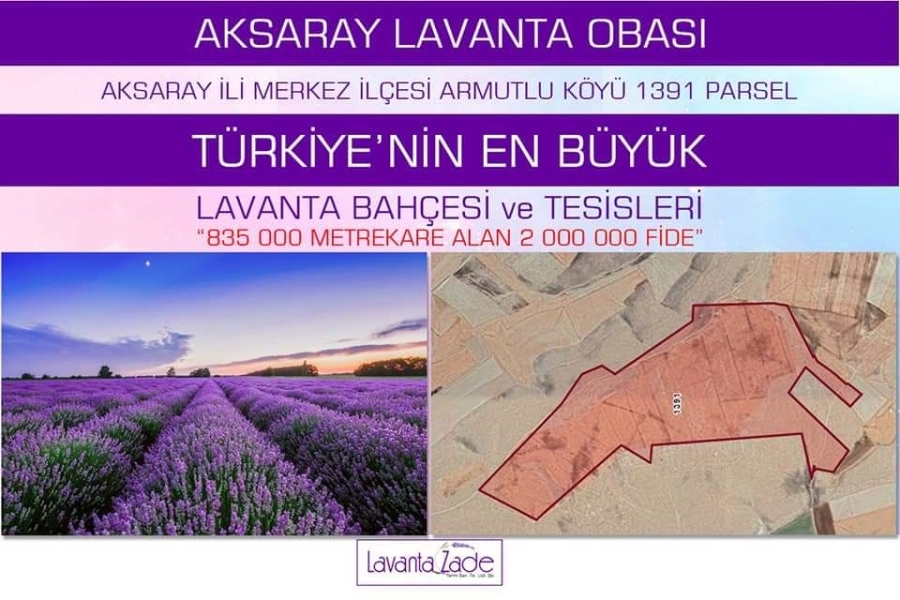 Aksaray'a Kurulacak Lavanta Bahçesi Aksaray'ın Tanıtımına Büyük Katkı Sağlayacak