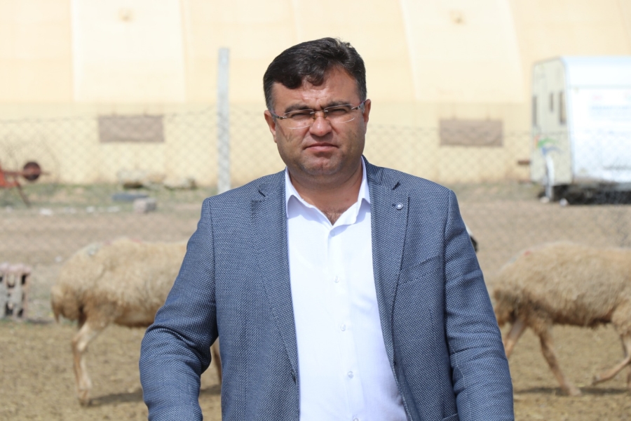 Korona fırsatçıları hayvancılığı hedef aldı