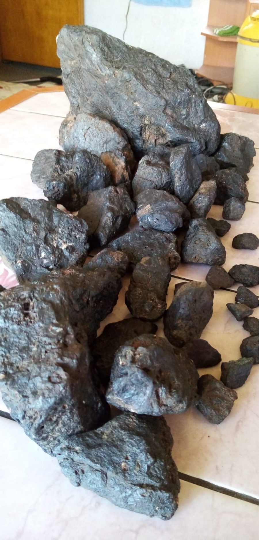 Adaçayı ve kekik toplarken göktaşı buldu