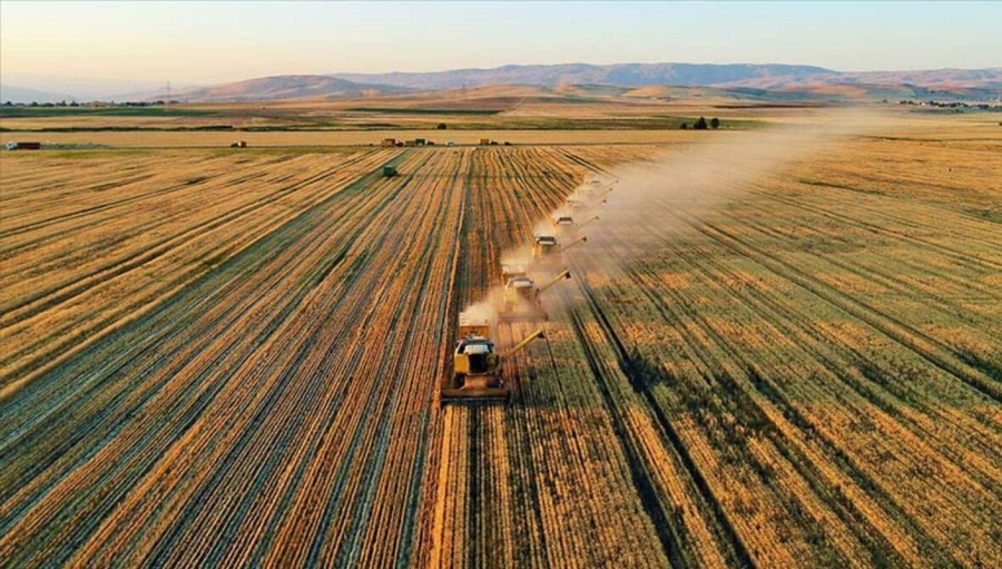 Aksaray'da 8 Milyon Metrekare Tarım Arazileri Topraksız ve Yeterli Toprağı Olmayan Çiftçilere Kiralanacak