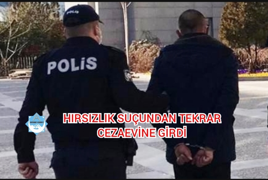 Pandemi nedeniyle çıktığı cezaevine hırsızlık suçundan tekrar girdi