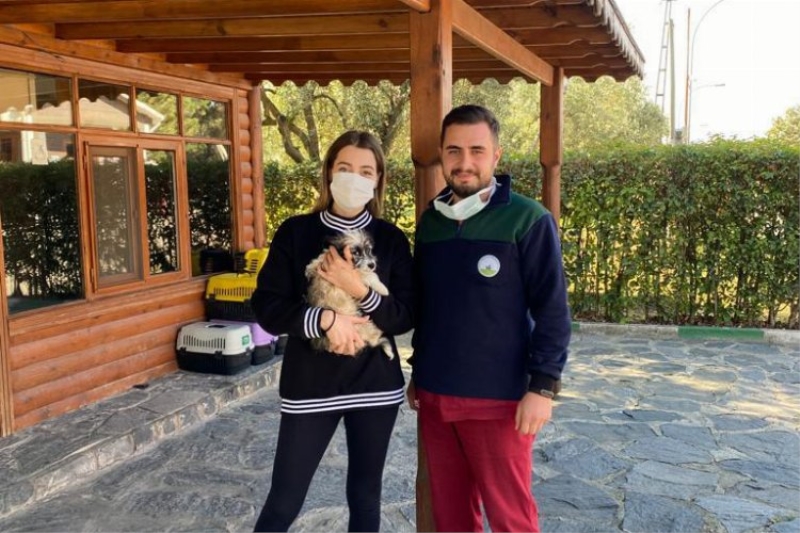 Bursa'da Osmangazi sahipsiz köpek yeni evine kavuştu