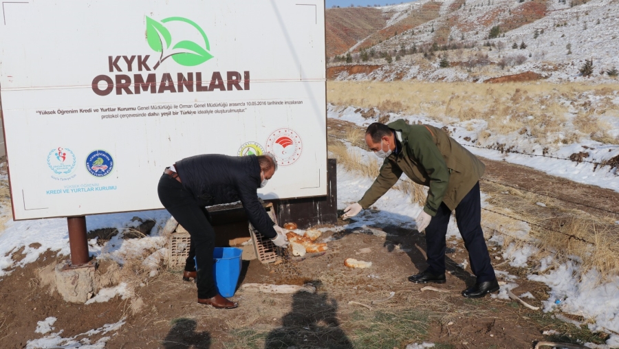 Ekipler, arazi aracıyla tüm bölgeyi gezerek hem hayvanların kontrollerini sağladı hem de hayvanların karnını doyurdu