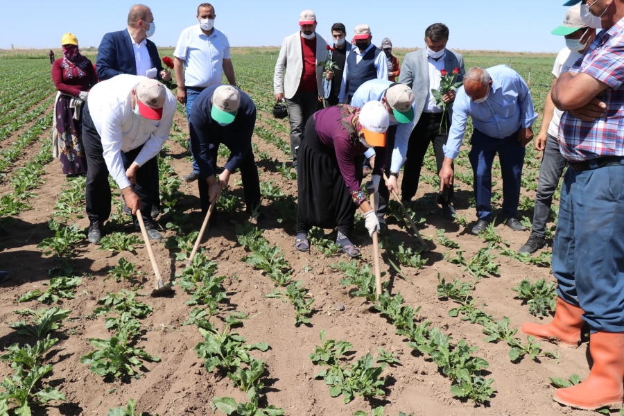 Anlamıyorum dünya çiftçiler günü Aksaray'da da kutlandı