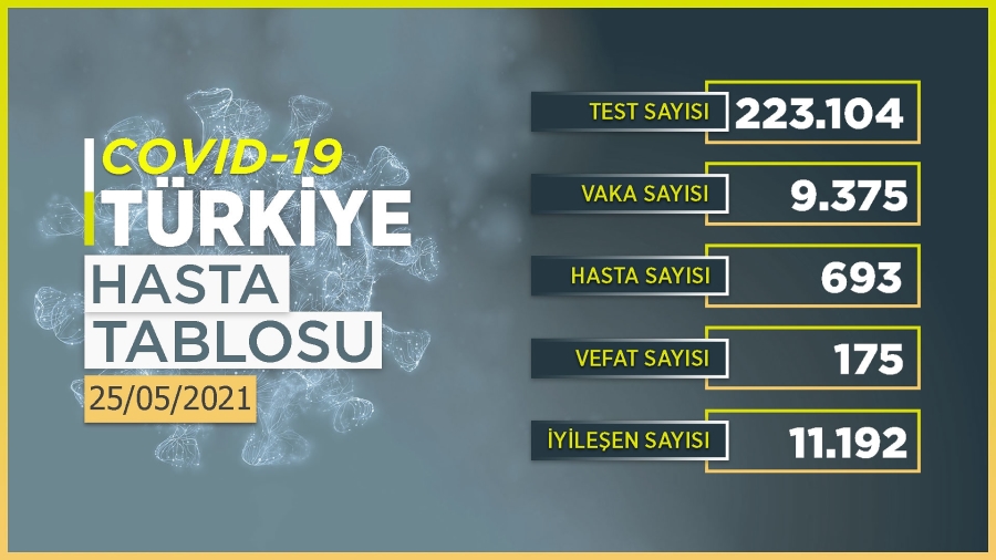 9 bin 375 kişinin COVID-19 testi pozitif çıktı, 175 kişi hayatını kaybetti.
