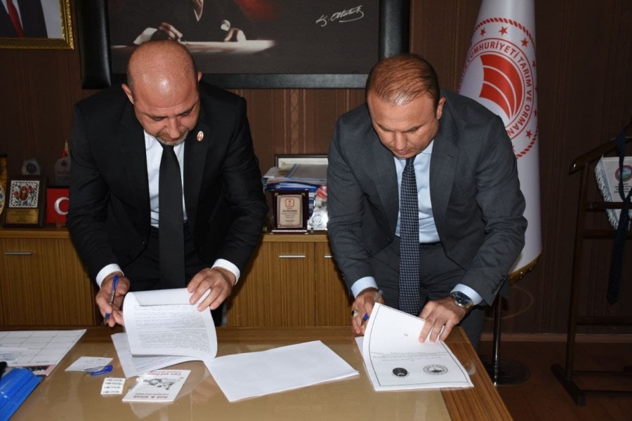 Aksaray'da sahipli hayvanlara çip takıldı