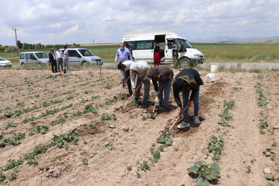Aksaray'da Mevsimlik tarım işçilerinin ihtiyaçları karşılanıyor