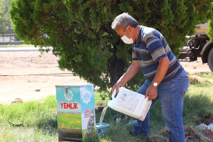 Sokak Hayvanlarının Yem Ve Su Kabı Boş Kalmıyor