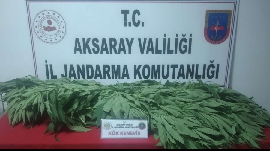 Aksaray'da uyuşturucu madde imal ve ticareti yapan 1 kişi yakalandı