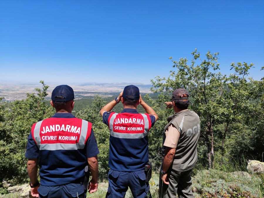 Orman Yangınlarını Önlemek İçin Tedbirler Alınıyor