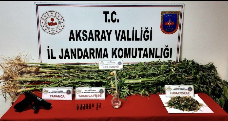 Aksaray'da 1 Kişinin Evinde ve Bahçesinde 27 Kök Kenevir Kubar Esrar ve Ruhsatsız Silah Yakalandı