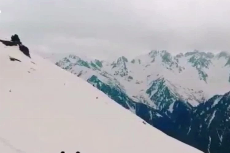 'Kontrabat' Artvin'den dünyaya açılıyor