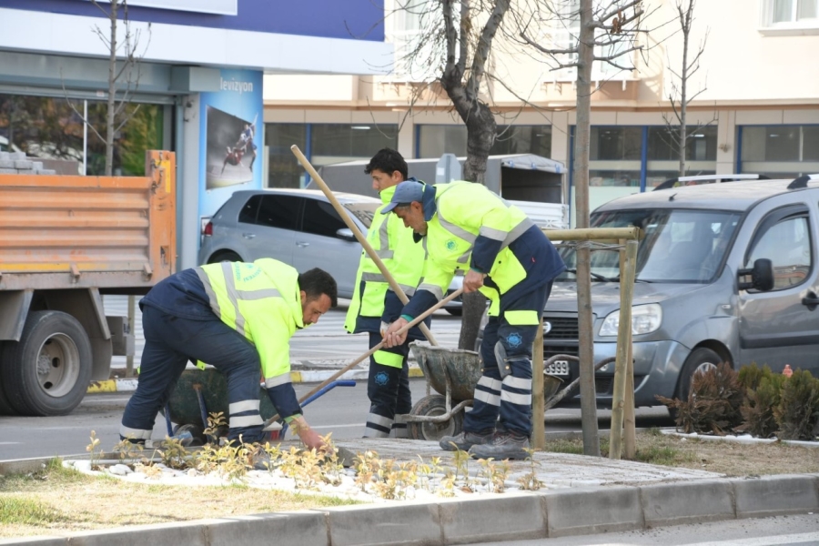 Aksaray Peyzaj Ve Ağaçlandırma İle Güzelleşiyor