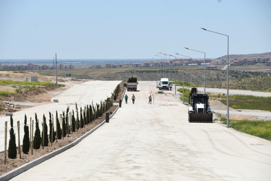 YENİ ŞEHİR MEZARLIĞI VE KÜLLİYESİNDE AĞAÇLANDIRMA VE PEYZAJ ÇALIŞMALARI BAŞLADI