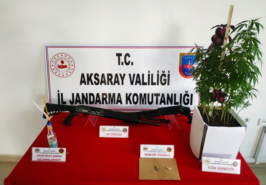 Aksaray da yasa dışı kenevir ekimi yapan bir kişi yakalandı