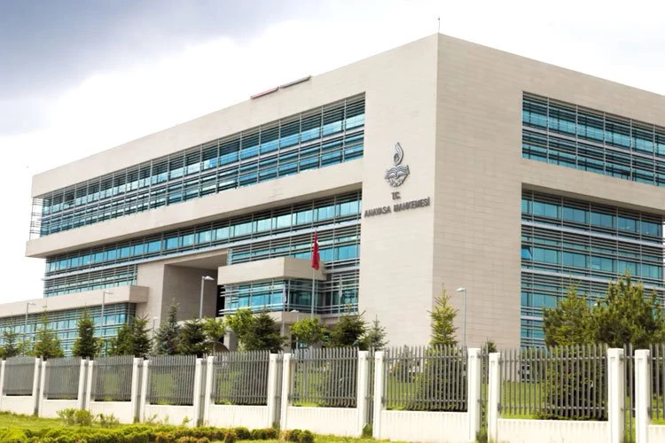 Anayasa Mahkemesi'nden seçme kararları Resmi Gazete'de