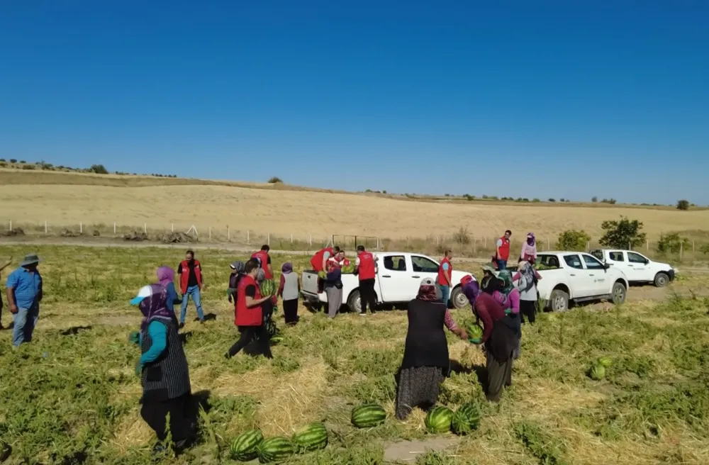 Aksaray'da çiftçiye Destek İçin Aksaray Belediyesi 80 Ton Karpuzu vatandaşlara bedava dağıttı