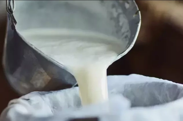 Şubat'ta süt ürünleri üretiminde düşüş... Ayran ve kefir üretimi yüzde 6,9 arttı