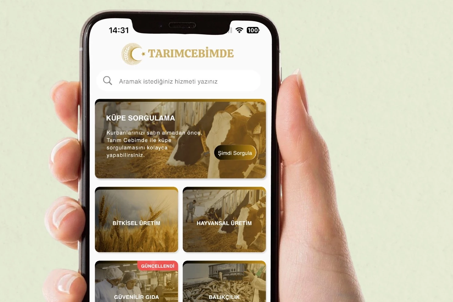 Kurbanlık seçimi 'Tarım Cebimde' ile daha güvenli